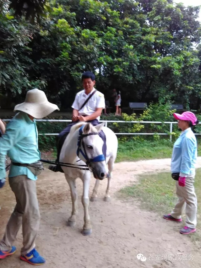 ҷ׌á2015BTм(ji)(dng)