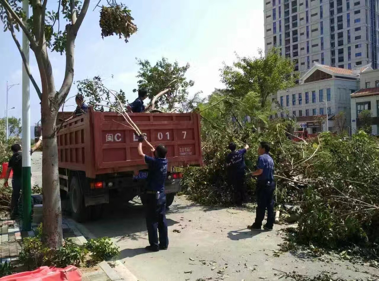 廈門家政公司接力災(zāi)后重建義工活動